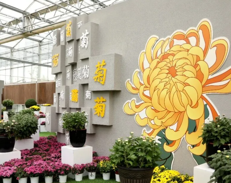 通達志愿者護航全椒菊博園志愿服務溫暖啟程